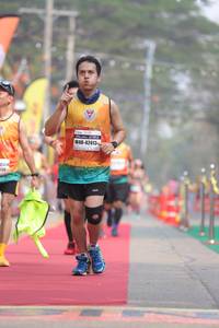 BIB: 42413
                            <button type="button" onclick="openModal(8163820)" class="btn btn-primary btn-sm float-right btn-popup" data-toggle="modal" data-target=".modal-high-quality">
                        <i class="fas fa-shopping-cart"></i> Add to Cart
                    </button>
                                            <button type="button" onclick="isThisMe(8163820, true)" class="btn btn-success btn-sm float-right btn-popup btn-isme hidden" data-toggle="tooltip" data-placement="bottom" title="นี่คือรูปของคุณใช่ไหม คลิกที่นี่เพื่อเอาเข้าอัลบั้ม">
                        <i class="fas fa-plus"></i> Add to album
                    </button>
                    <button type="button" onclick="isThisMe(8163820, false)" class="btn btn-warning btn-sm float-right btn-popup btn-isnotme hidden">
                        <i class="fas fa-ban"></i> Remove from album
                    </button>